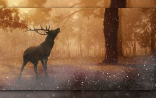 5. Rauhnacht Hirsch im Winterwald