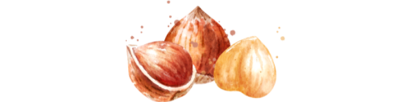 Haselnüsse