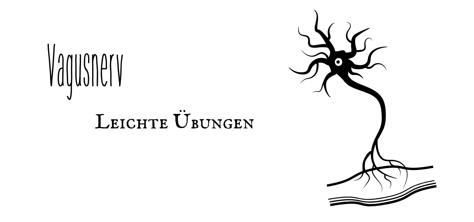Vagusnerv Vagusnerv