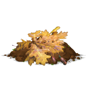 Eichenblätter fallen Eichenblätter fallen