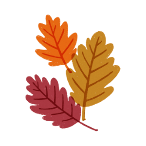 Herbstlaub Eichenblätter