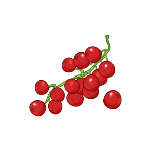 Johannisbeeren Johannisbeeren