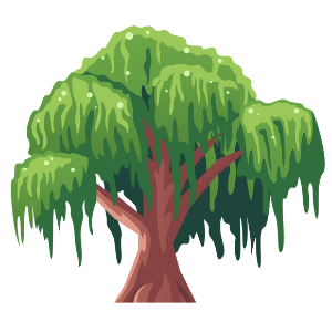 Weide Baum Weide